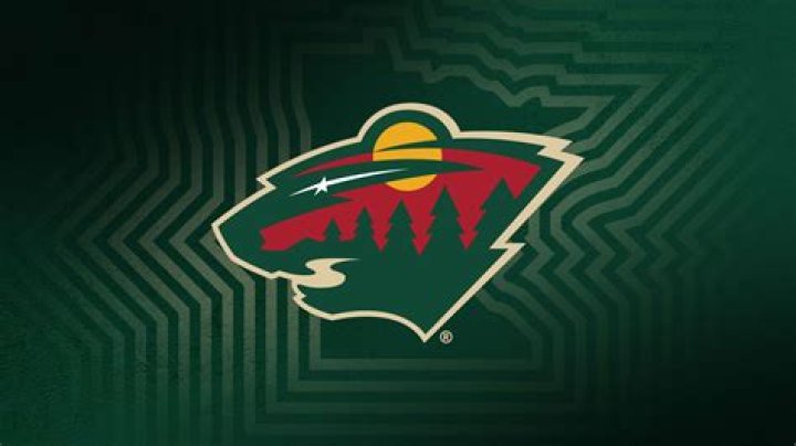 What place are the Minnesota Wild in the standings?