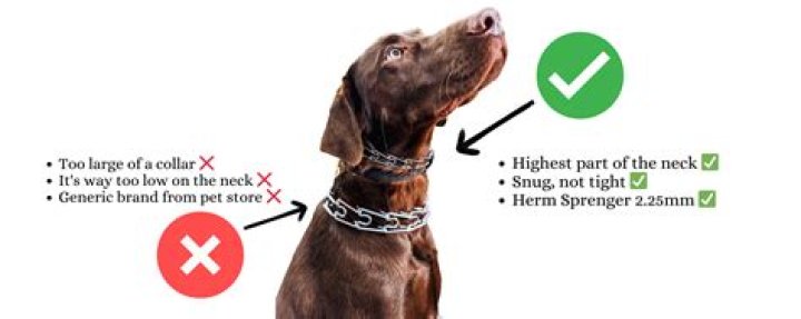 What size is my Sprenger collar?