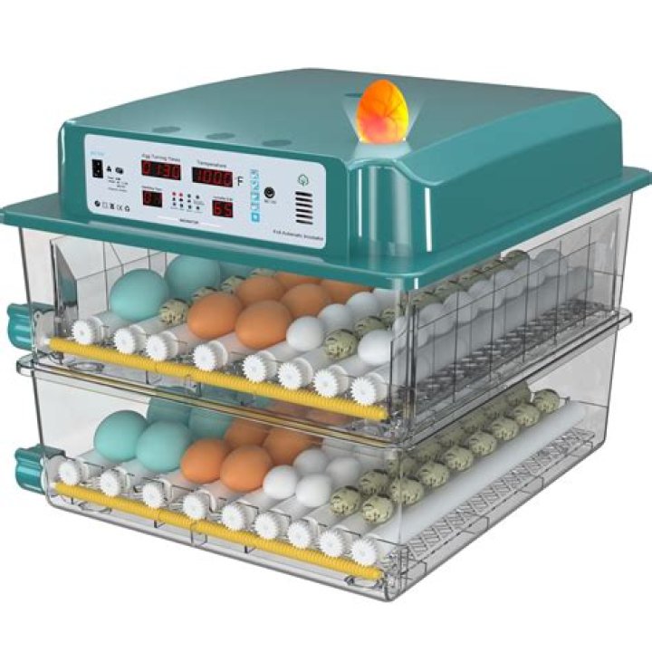 When was the first incubator made?