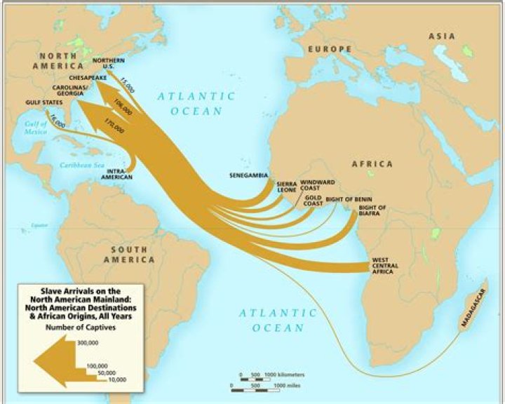 Where did freed slaves migrate to?