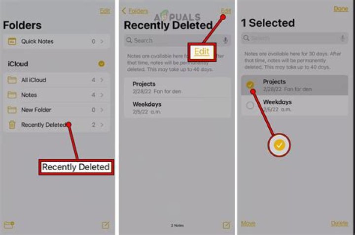 Where did my recently deleted notes go?