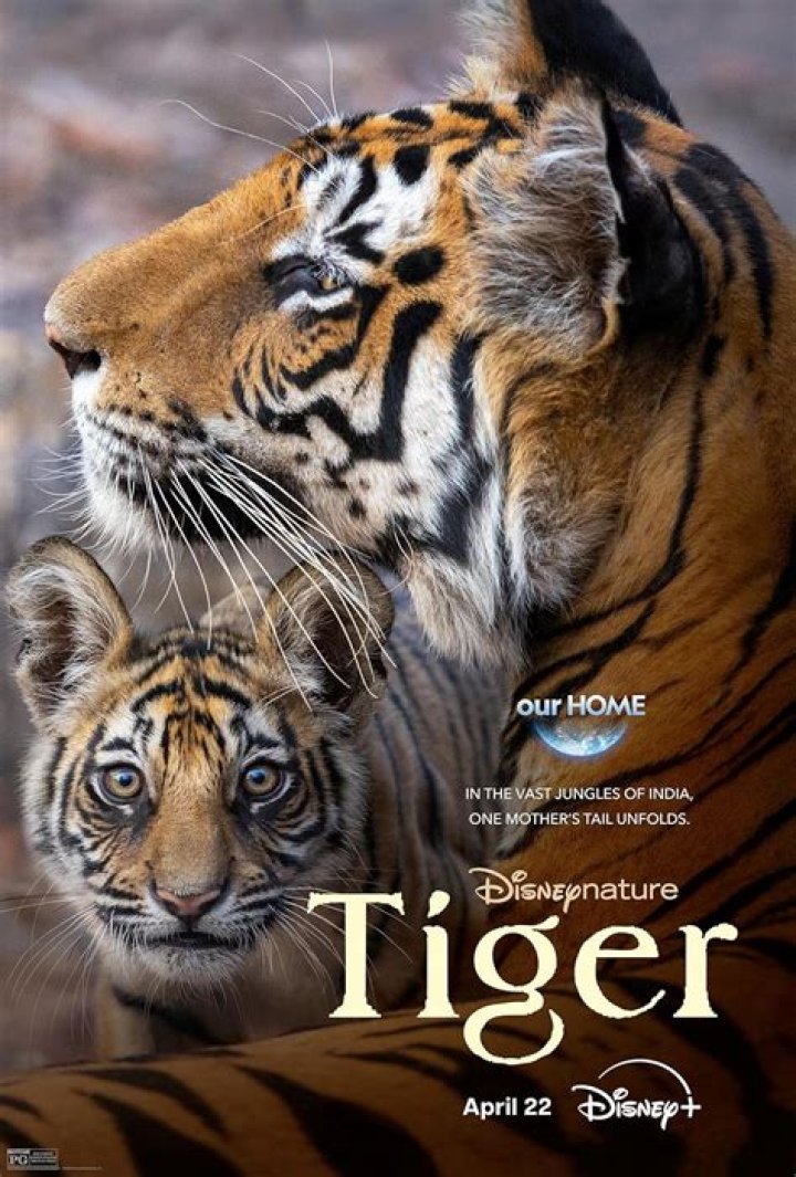 Where is Eye of the Tiger filmed?
