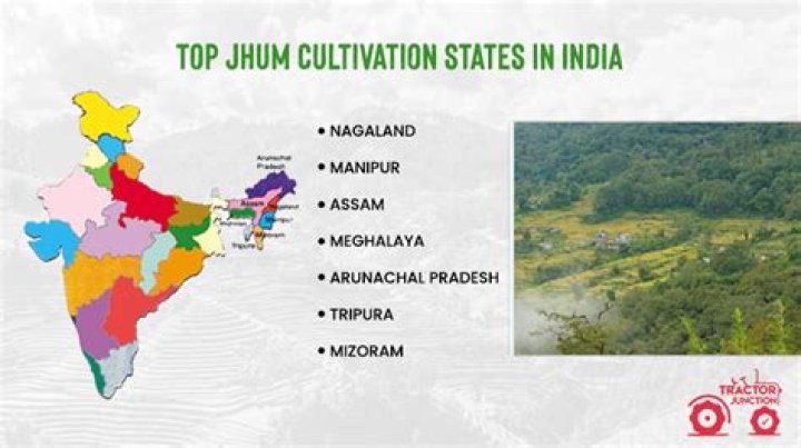 Where is jamun grown India?
