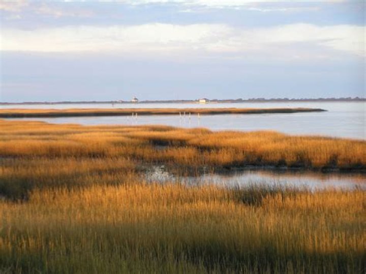 Where is Marsh Island Louisiana?
