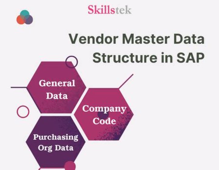 Where is vendor master data in SAP?