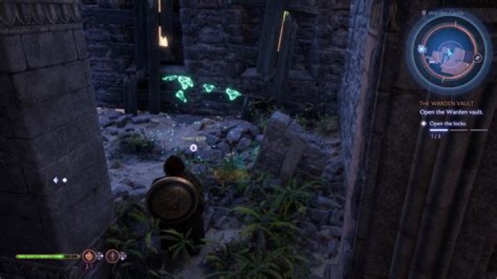 Where is Warden vault in Denerim?