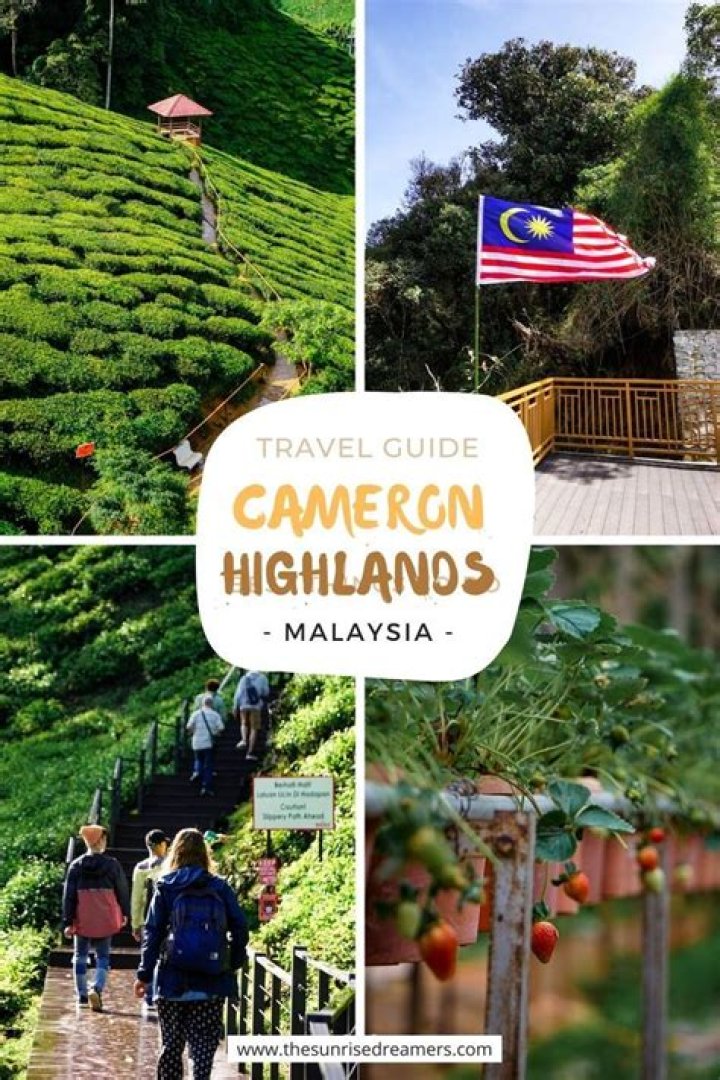 Where should I stay when visiting Cameron Highlands?