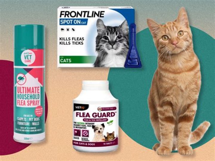 Which flea and tick treatment is best for cats?