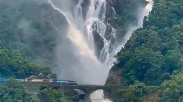 Which train goes through dudhsagar?