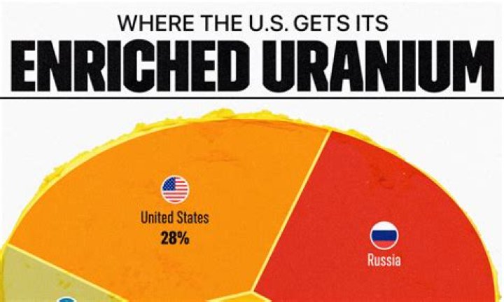 Who owns the uranium in Niger?