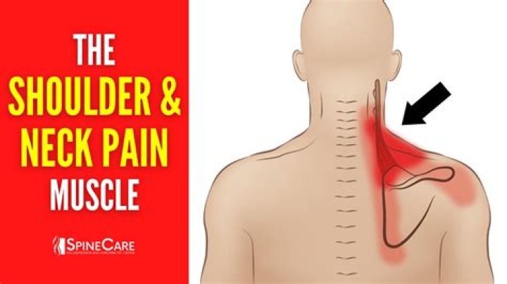 Why am I breaking out on my neck and shoulders?