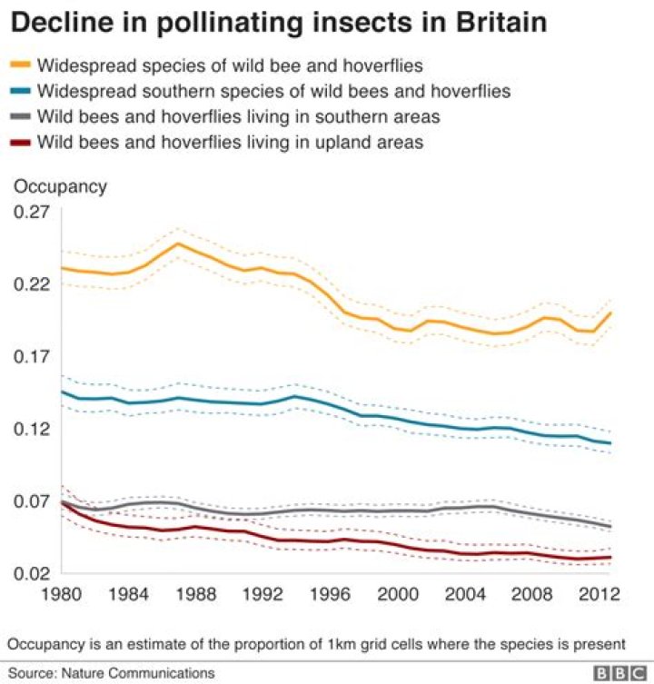 Why are insects declining in UK?