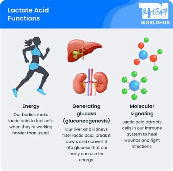 Why does sports use lactic acid system?